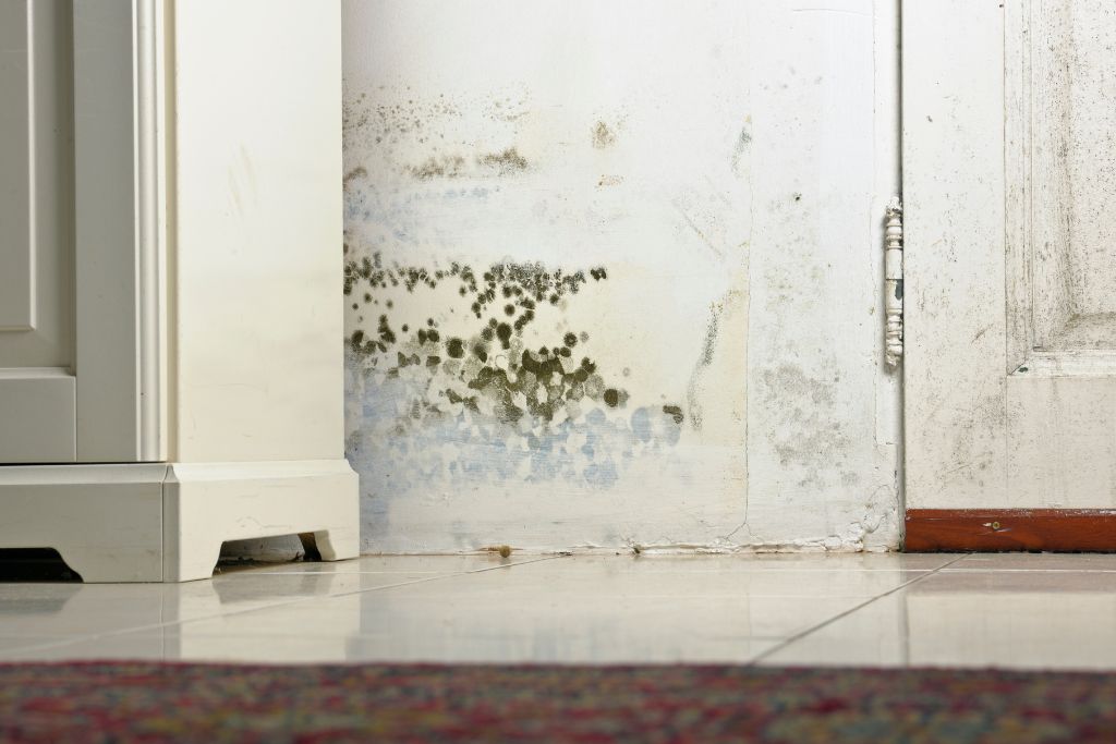 plumbing repair services
